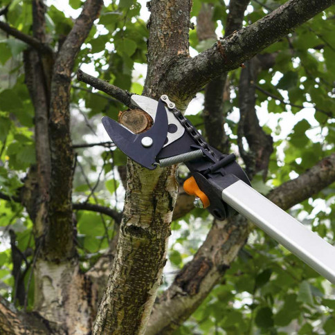 Tree Removal, Trimming, Stump Grinding | Johnson City, Kingsport